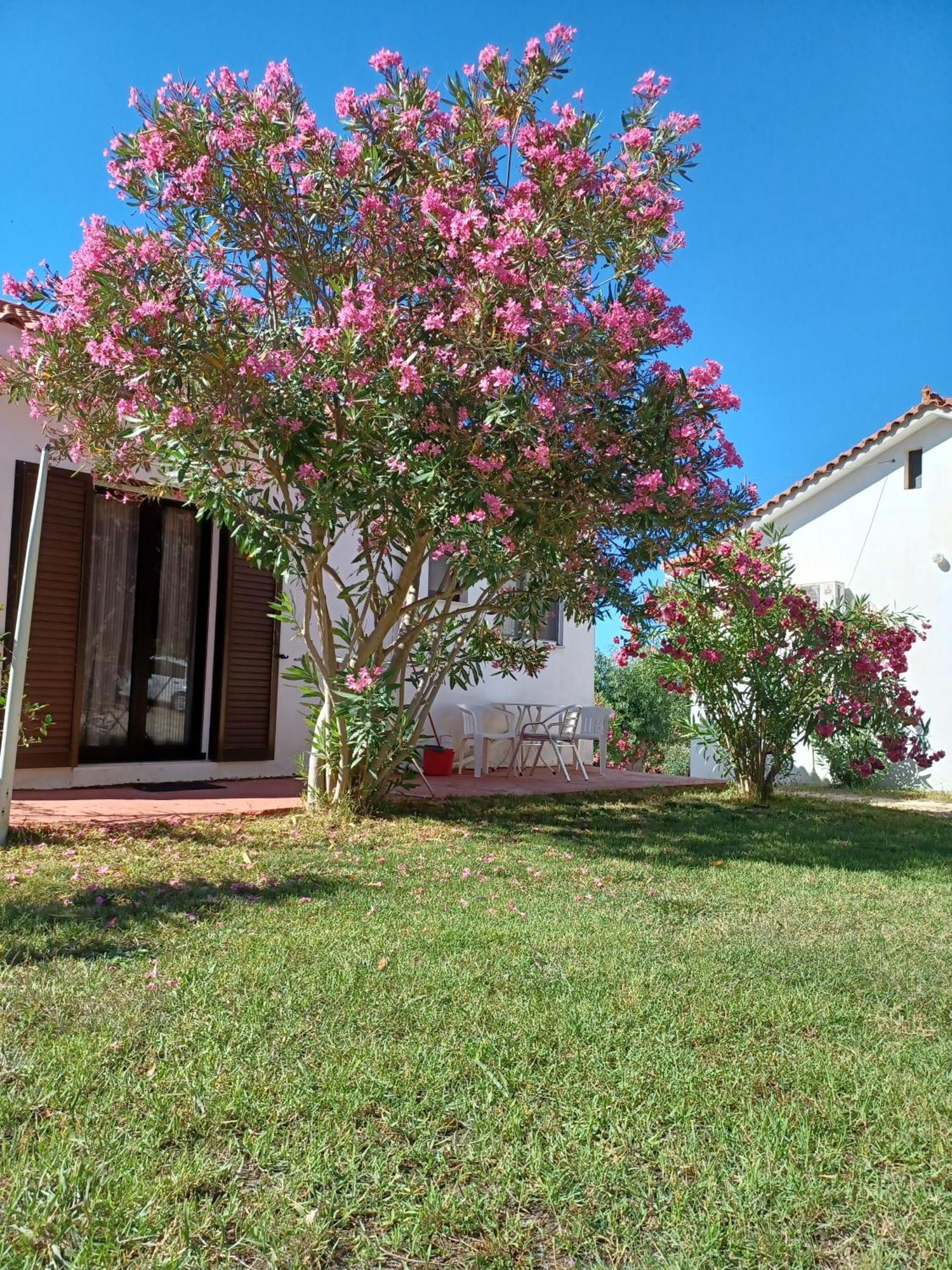 Nerissa Bungalow 2, Two Bedroom House With Sea View Esparta Exterior foto